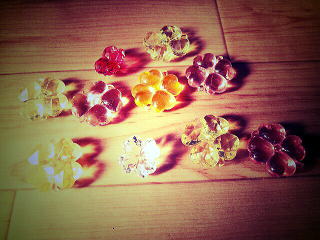 �����̎ʐ^�B