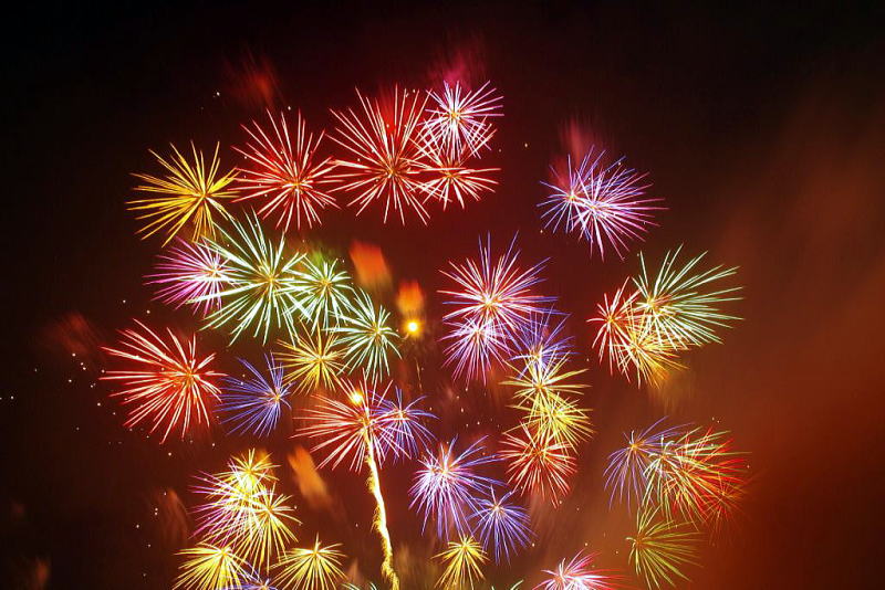 �K���̉ԉ΂ɂ͒������F���̉ԉ΂ł��B�@�薼�@�炫�����ԉ�